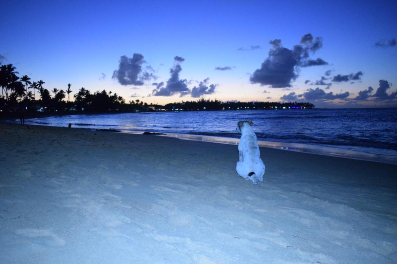 La Dolce Vita Beachfront Hotels, Las Terrenas, Samana ภายนอก รูปภาพ